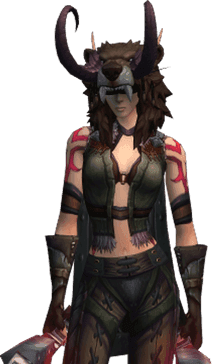 Raidn render