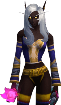 Neiko render