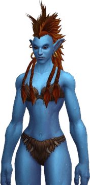 Magelet render