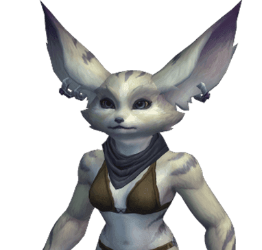 Nire render