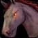Black War Steed