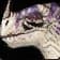 Bone-White Primal Raptor