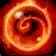 Pureblood Fire Hawk