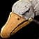 Siltwing Albatross